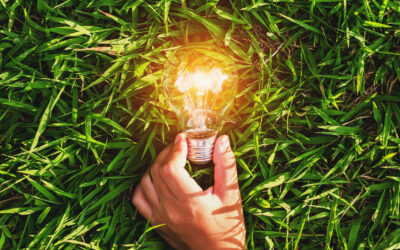 Palvelukokemus kierrätysasemalla